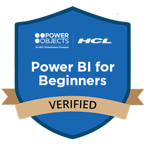 Power BI for Beginners